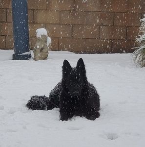 Meet your Posher, Carol